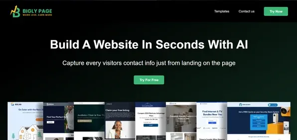 BIGLYPAGE preview