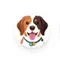 Breed Dog