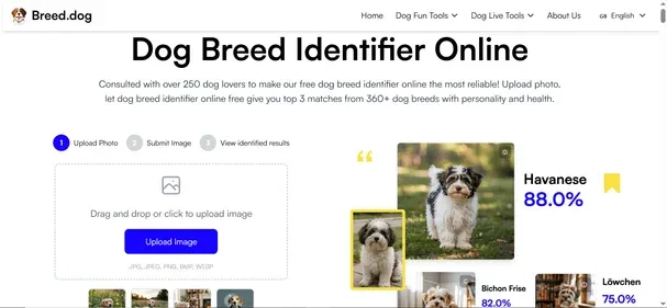 Breed Dog preview