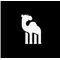 CAMELQA
