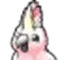 COCKATOO