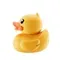 DUCKIE