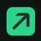LEDGERUP AI