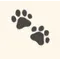 PET LENS AI