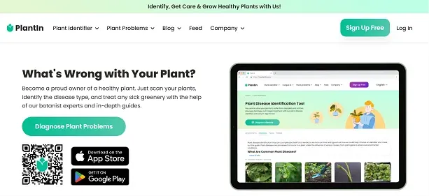 PLANTIN preview