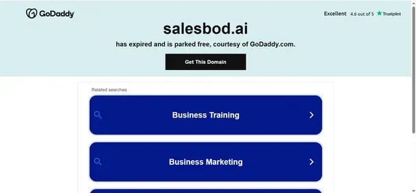 Salesbod AI preview