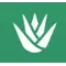 Stepseed App