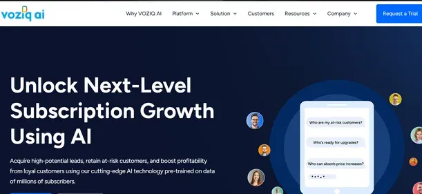 VOZIQ AI preview