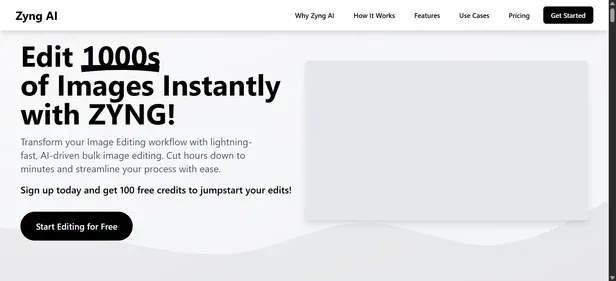 ZYNG AI preview
